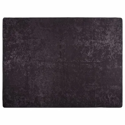 Obrázek produktu pro Omyvatelný koberec Antracit 400x300 cm Protiskluzový