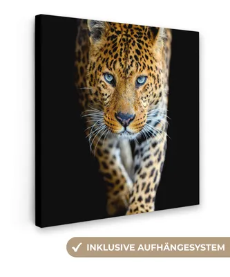 Produktbild von MuchoWow® - Leinwandbilder - Leopard - Tiere - Porträt - Wildtiere - Schwarz, Wandbild, Wanddeko Bilder Wohnzimmer, 90x90cm