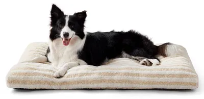 Produktbild von Pawk Hundebett für Mittelgroße Hunde, Waschbar und Atmungsaktiv