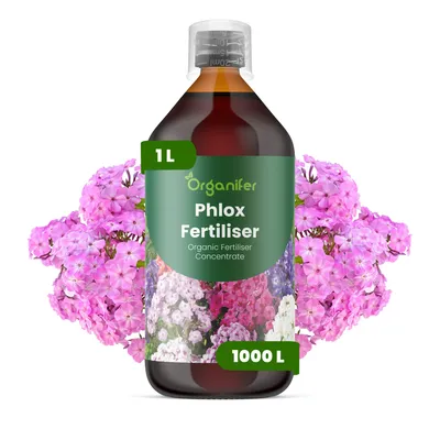 Obrázek produktu pro Phlox Tekuté Hnojivo 1 L – 2-1-8 NPK – Pro Phlox – Podporuje Bujné Květy & Zdravý Růst – Organifer