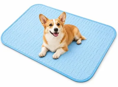 Immagine prodotto di Tappetino refrigerante per cani e gatti - Tappetino per cani e gatti - Tappetino non tossico - 40 x 30 cm - Blu