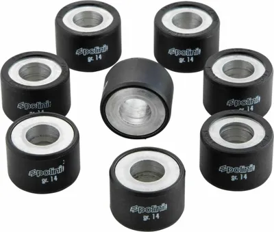 Productafbeelding van POLINI set variatorrollen, 25x17mm, 14 gram - 8 stuks