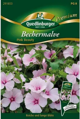Produktbild von Bechermalve, Pink Beauty