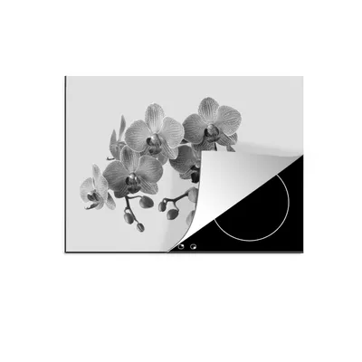 Produktbild von KitchenYeah© Herdabdeckplatte Orchideen auf grauem Hintergrund - schwarz und weiß , 70x52cm, Küche Deko, Glaskeramikkochfeld Herdabdeckung, Abdeckplatte fùr Kochfeld