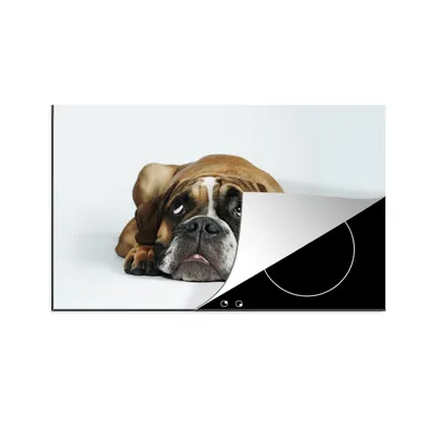 Produktbild von KitchenYeah© Herdabdeckplatte Hund - Haustiere - Weiß , 80x52cm, Küche Deko, Glaskeramikkochfeld Herdabdeckung, Abdeckplatte fùr Kochfeld