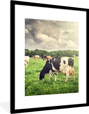 Produktbild von MuchoWow® Gerahmtes Poster Kühe - Weide - Natur - Tiere - Landschaft 60x80 cm - Poster mit Schwarzem Bilderrahmen Wandposter Rahmen Foto Bilder - Wohnzimmer - Dekorationen - Prämie
