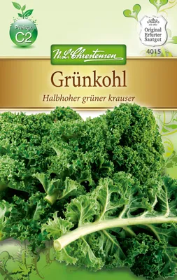Produktbild von Grünkohl Halbhoher grüner Krauser | Grünkohlsamen von N.L. Chrestensen