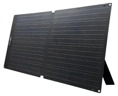Zdjęcie produktu dla Allpowers Se100 | 100W |