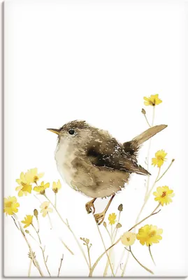 Produktbild von ARTland Leinwandbild Aquarell Zaunkönig Größe: 20x30 cm