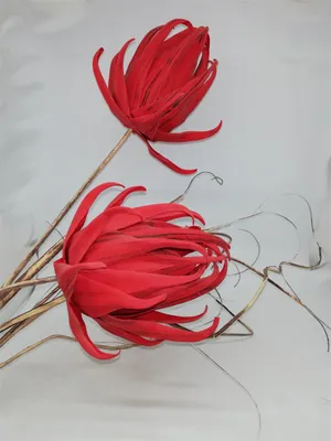 Produktbild von Formano Kugelzweig 100 rot 674517