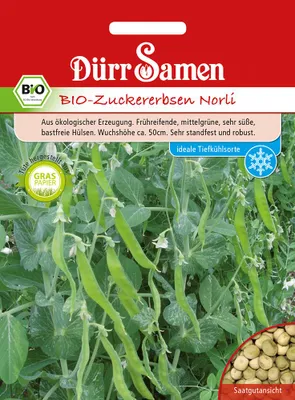 Produktbild von Zuckererbse Norli | -Zuckererbsensamen von Dürr Samen