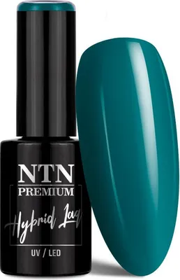 Image de NTN Premium Limited Edition Peinture hybride 5 g N° 374