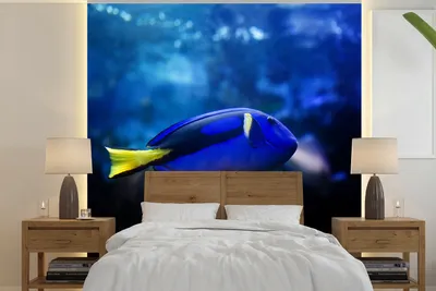 Produktbild von MuchoWow® Fototapete für Wohnzimmer oder Schlafzimmer Wandtapete Vinyl Motivtapete Blauer Fisch im Aquarium - 350x350 cm - Schlafzimmertapete