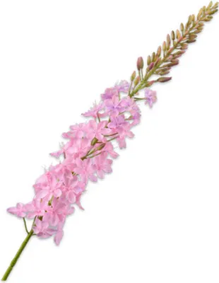 Produktbild von Silk-ka Künstliche Blume Seidenblume Eremurus-Stiel Rosa 107 cm