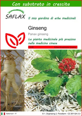 Immagine prodotto di SAFLAX  - Ginseng - 10 semi - Con substrato - Panax