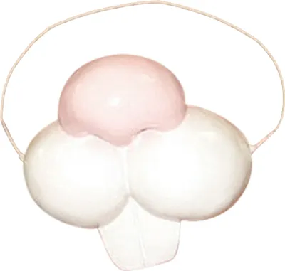 Image de Bristol Novelty - Costume BN5103 (taille unique) (rose/blanc)