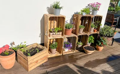 A collection of wooden crates filled with plants and flowers on a wooden deck against a white wall.