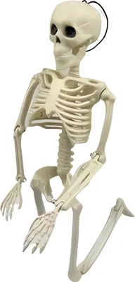 Image de Décoration suspendue d'Halloween KOSTRA 40cm