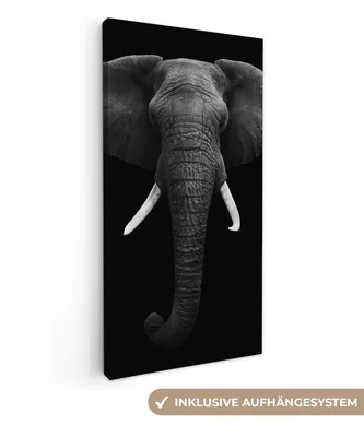 Obrázek produktu pro OneMillionCanvasses® - Plátno - Obrazy - Divoká zvířata - Černá - Bílá - Portrét, Nástěnné umění, Nástěnné dekorace Obývací pokoj, 20x40cm