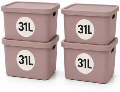 Produktbild von Plastard Aufbewahrungsbox mit Deckel 4er-Set 31 Liter in Pink, KI-generiertes Bild