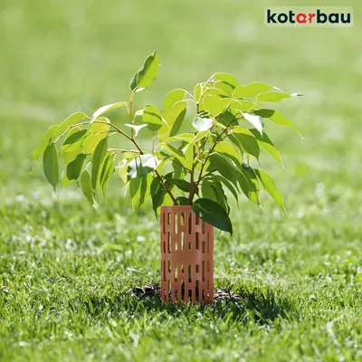 Produktbild von KOTARBAU® Baumschutz Wildverbiss 20er Set 20 cm Braun Kunststoff Rindenschutz Pflanzen und Baumstammschutz Schutz Stammschutz für Bäume Verbissschutz für Bäume Baummanschetten Baumschutzhülle Baumscho