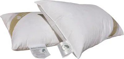 Produktbild von 2 Stück Betten Hofmann Kopfkissen 30x50 Nackenkissen Federkissen 30% Daunen 300 g prall