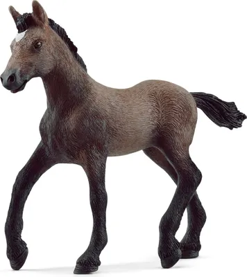 Produktbild von Schleich Horse Club Paso Peruano Fohlen 13954