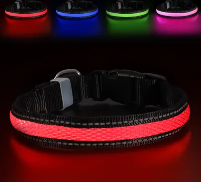 Produktbild von LED Hundehalsband – Leuchtendes Sicherheitshalsband in vielen Farben – USB wiederaufladbar, wasserdicht, 3 Leuchtmodi – Größen S, M, L ROT Größe S