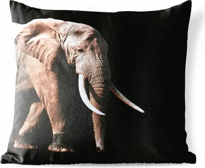 Produktbild von MuchoWow® Outdoor Kissen - Elefant - Zähne - Tiere - 45x45 cm - Wetterfest - Lounge Kissen - Fotokissen - Dekoratives Kissen