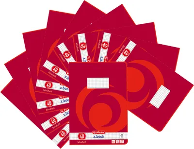 Productafbeelding van Herlitz 3324001: Schoolblok A4, regelbreedte 40, geruit met rand, 16 vellen, verpakking van 10 stuks