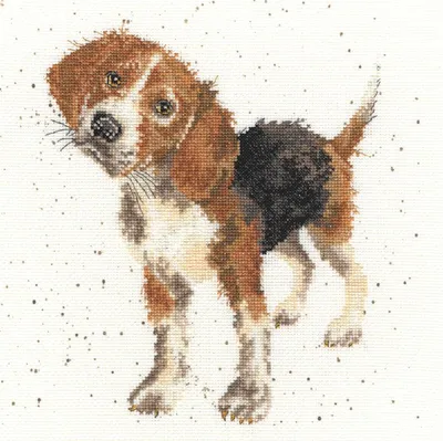 Produktbild von Bothy Threads Kreuzstich-Set "Beagle", 26x26cm, XHD12, Zählmuster