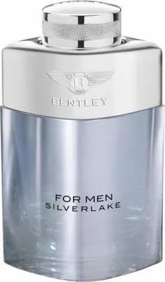 Zdjęcie produktu dla Bentley Silverlake For Men EDP 100ml