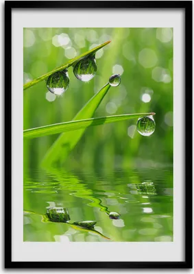 Produktbild von Bild - Bilderrahmen - Foto - 70 cm x 100 cm - MDF - Rahmen - Wandkunst - Grashalme