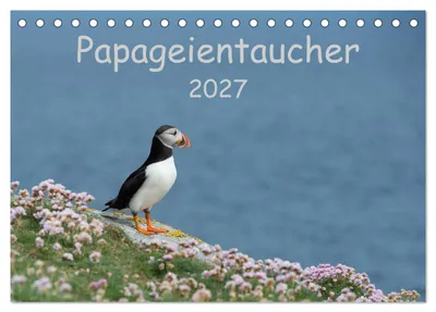 Produktbild von Papageientaucher 2027 (Tischkalender 2027 DIN A5 quer), CALVENDO Monatskalender