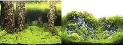 Produktbild von Fotorückwand Motiv 5 100x40 cm
