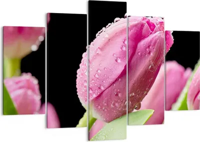 Produktbild von Bild auf Leinwand - Leinwandbild - Tulpe Blumen Tau - 150x100cm - Wand Bild - Wanddeko - Leinwanddruck - Bilder - Kunstdruck - Wanddekoration - Leinwand bilder - Wandkunst - EA150x100-2483