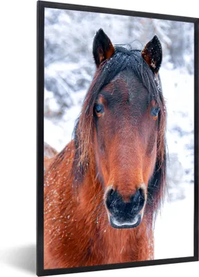 Produktbild von MuchoWow® MuchoWow® Gerahmtes Poster Pferd - Winter - Schneeflocke 40x60 cm - Poster mit zchwarzem Bilderrahmen - Papierdruck - Wandbilder