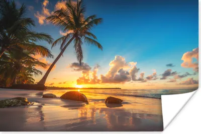 Produktbild von MuchoWow® Poster Strand - Meer - Palme - Sonnenuntergang 30x20 cm - Plakate - Print
