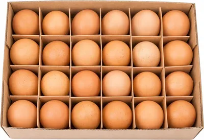 Produktbild von Hühnereier Braun Natur 24 Stück, ausgeblasen & gereinigt, Ostereier Osterdeko