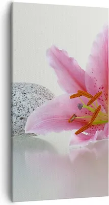 Produktbild von Bild auf Leinwand - Leinwandbild - Lilienblüte grün Pflanze - 55x100cm - Wand Bild - Wanddeko - Leinwanddruck - Bilder - Kunstdruck - Wanddekoration - Leinwand bilder - Wandkunst - PA55x100-0485