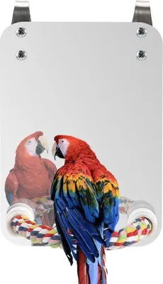 Produktbild von Vogelspiegel aus Acryl für kleine Vögel