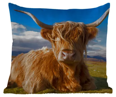 Produktbild von MuchoWow® Outdoor Kissen - Schottische Hochlandrind - Licht - Natur - 50x50 cm - Wetterfest - Lounge Kissen - Komfortabel - Kissen mit Bild