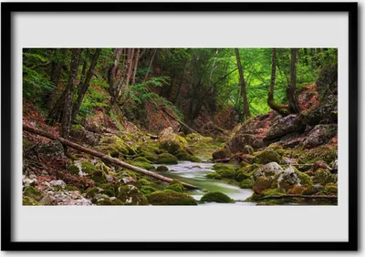 Produktbild von Bild 70x50 MDF-Rahmen Wandkunst Wald Moos Natur