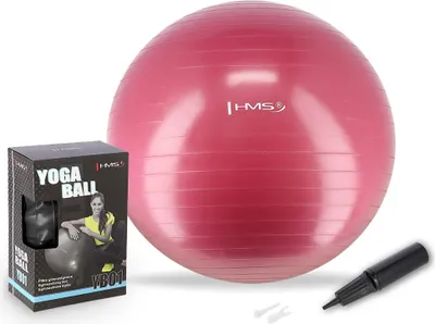 Produktbild von 65 cm großer Gymnastikball in Pflaume für Yoga und Fitness