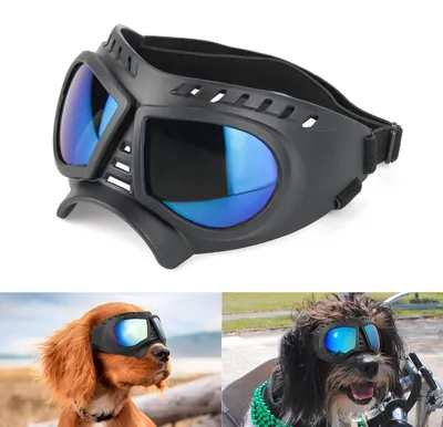 Produktbild von Hundesonnenbrille mit verstellbarem Band für Augenschutz