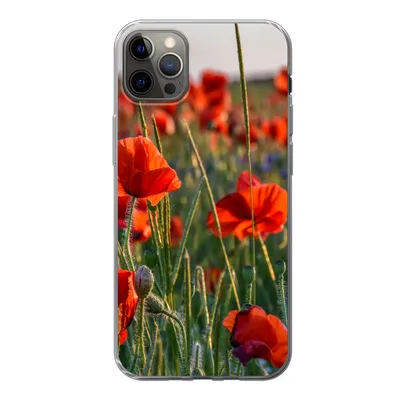 Produktbild von MuchoWow® Handyhülle Schutzhülle Hülle für iPhone 13 Pro Max Blumen - Mohnblumen - Natur - Rot Silikon Softcase Handy Hülle - Mobiltelefon