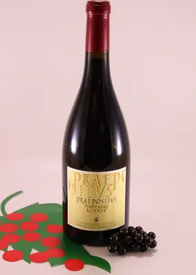 Obrázek produktu pro Blauburgunder Riserva Praepositus - ročník 2021 - vinařství Kellerei Neustift
