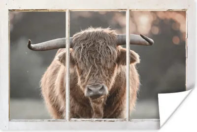 Produktbild von MuchoWow® Poster Scottish Highlander - Ansicht - Hörner 60x40 cm - Schlafzimmerdekoration