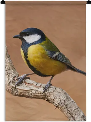 Produktbild von MuchoWow® Wandteppich Wandbehang Vogel - Kohlmeise - Zweige 90x135 cm Tapisserie Dekoration Wandtuch - Baumwolle - Wandskulptur