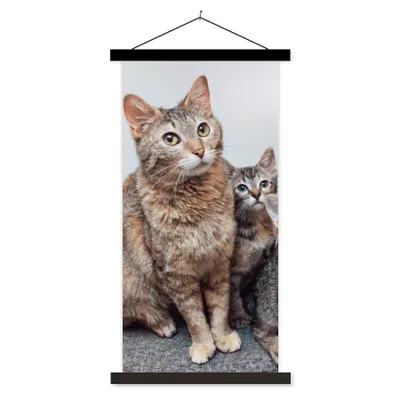 Produktbild von MuchoWow® Textilposter Katze - Kätzchen - Fell 40x80 cm mit schwarzem Rahmen - Wandemalerei